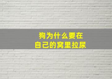 狗为什么要在自己的窝里拉尿