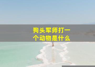 狗头军师打一个动物是什么