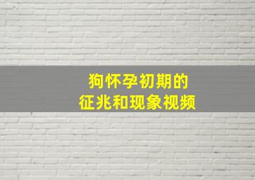 狗怀孕初期的征兆和现象视频