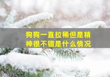 狗狗一直拉稀但是精神很不错是什么情况