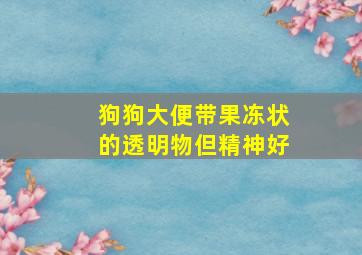 狗狗大便带果冻状的透明物但精神好