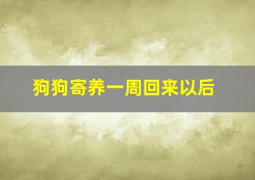 狗狗寄养一周回来以后