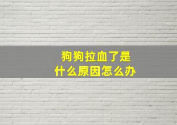 狗狗拉血了是什么原因怎么办