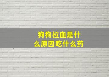 狗狗拉血是什么原因吃什么药