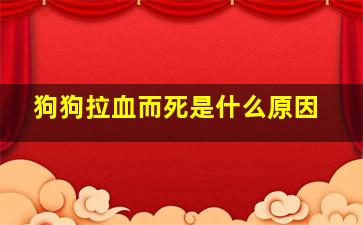 狗狗拉血而死是什么原因