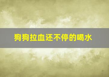 狗狗拉血还不停的喝水