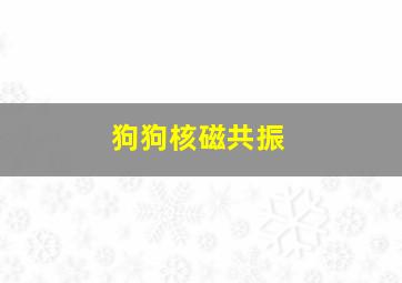 狗狗核磁共振