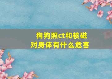 狗狗照ct和核磁对身体有什么危害