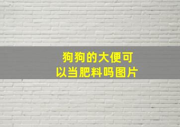 狗狗的大便可以当肥料吗图片