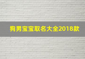 狗男宝宝取名大全2018款