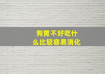 狗胃不好吃什么比较容易消化