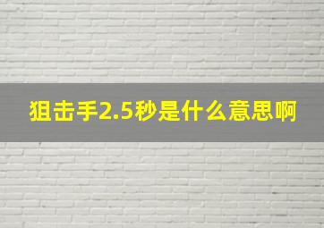 狙击手2.5秒是什么意思啊