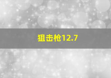 狙击枪12.7