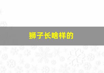 狮子长啥样的