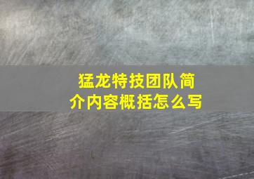 猛龙特技团队简介内容概括怎么写