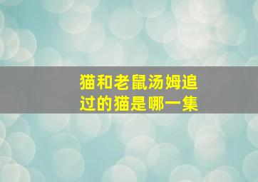 猫和老鼠汤姆追过的猫是哪一集