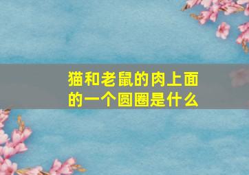 猫和老鼠的肉上面的一个圆圈是什么