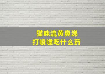 猫咪流黄鼻涕打喷嚏吃什么药