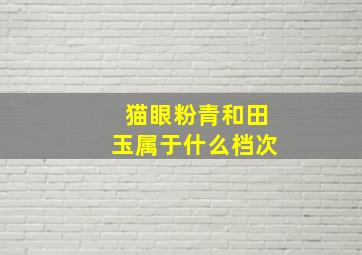 猫眼粉青和田玉属于什么档次