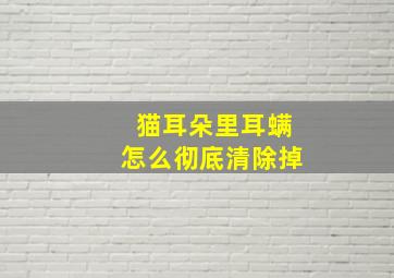 猫耳朵里耳螨怎么彻底清除掉