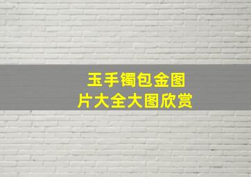 玉手镯包金图片大全大图欣赏