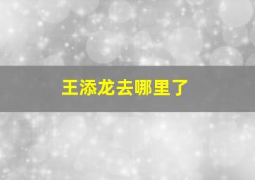 王添龙去哪里了