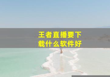 王者直播要下载什么软件好