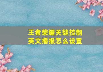 王者荣耀关键控制英文播报怎么设置