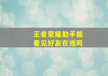 王者荣耀助手能看见好友在线吗