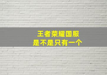 王者荣耀国服是不是只有一个