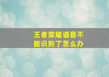 王者荣耀语音不能识别了怎么办