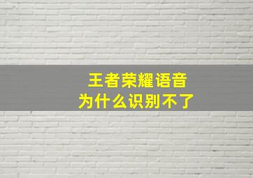 王者荣耀语音为什么识别不了