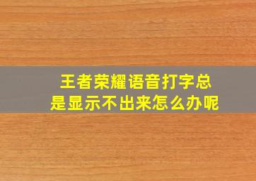 王者荣耀语音打字总是显示不出来怎么办呢