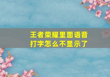 王者荣耀里面语音打字怎么不显示了