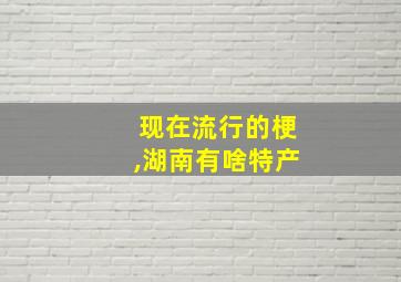 现在流行的梗,湖南有啥特产