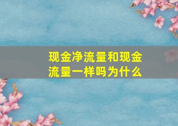 现金净流量和现金流量一样吗为什么