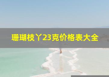 珊瑚枝丫23克价格表大全