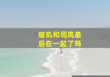 璇玑和司凤最后在一起了吗