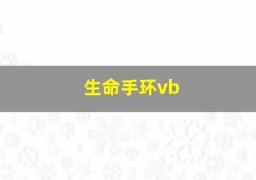 生命手环vb