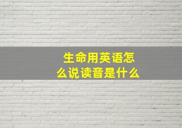 生命用英语怎么说读音是什么