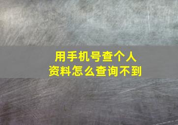 用手机号查个人资料怎么查询不到