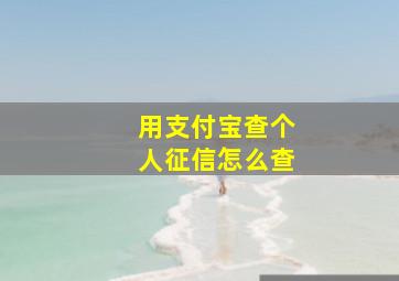 用支付宝查个人征信怎么查