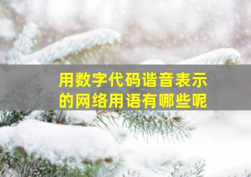 用数字代码谐音表示的网络用语有哪些呢