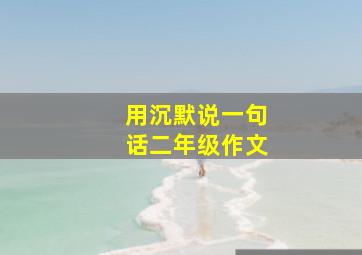 用沉默说一句话二年级作文