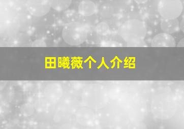 田曦薇个人介绍