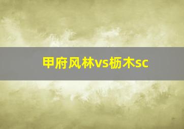 甲府风林vs枥木sc