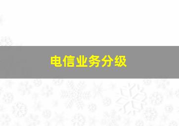 电信业务分级