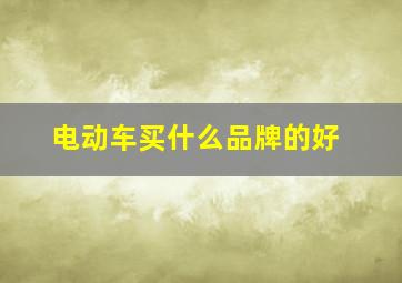 电动车买什么品牌的好