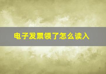 电子发票领了怎么读入