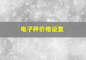 电子秤价格设置